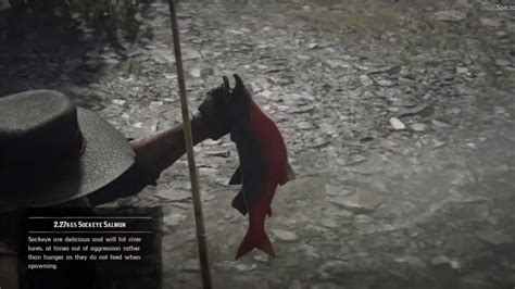 Red Dead Redemption II: Sockeye Salmon Fishing Guide .